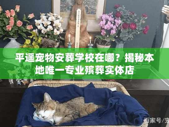 平遥宠物安葬学校在哪?揭秘本地唯一专业殡葬实体店 平遥宠物安葬学校在哪?揭秘本地唯一专业殡葬实体店
