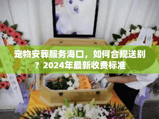 2024年最新收费标准图片