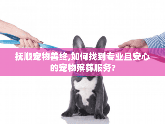 抚顺宠物善终,如何找到专业且安心的宠物殡葬服务?