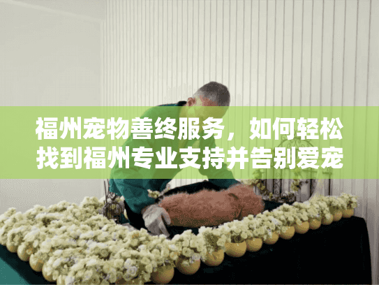 福州宠物善终服务，如何轻松找到福州专业支持并告别爱宠？