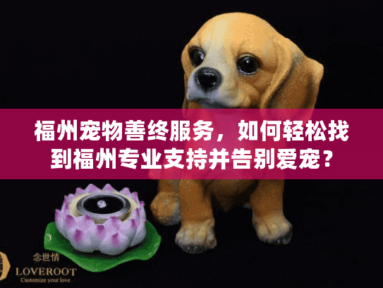 福州宠物善终服务，如何轻松找到福州专业支持并告别爱宠？
