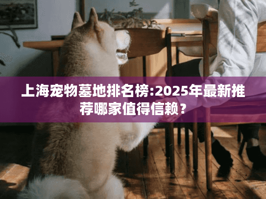 上海宠物墓地排名榜:2025年最新推荐哪家值得信赖？