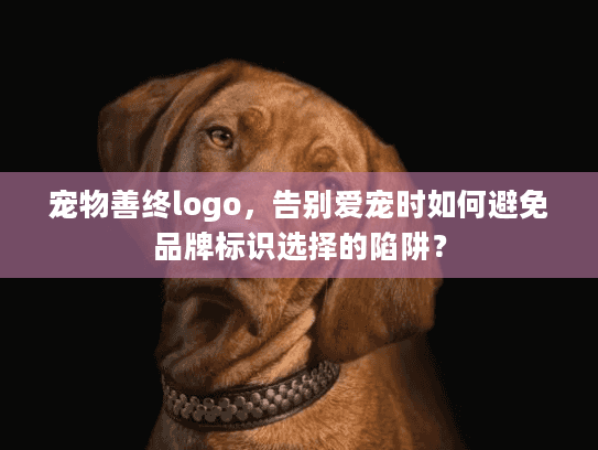 宠物善终logo，告别爱宠时如何避免品牌标识选择的陷阱？