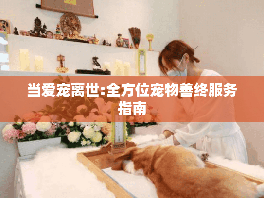 当爱宠离世:全方位宠物善终服务指南