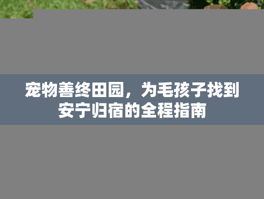 宠物善终田园，为毛孩子找到安宁归宿的全程指南