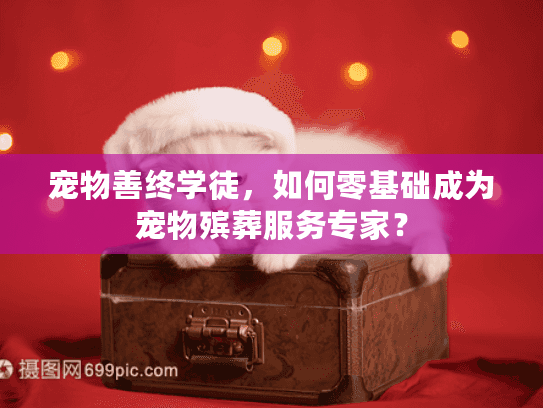 宠物善终学徒，如何零基础成为宠物殡葬服务专家？