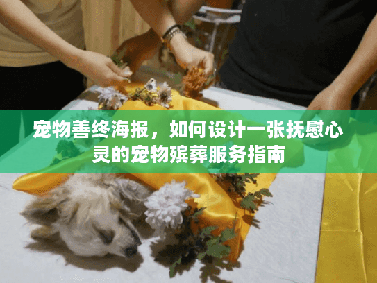 宠物善终海报，如何设计一张抚慰心灵的宠物殡葬服务指南