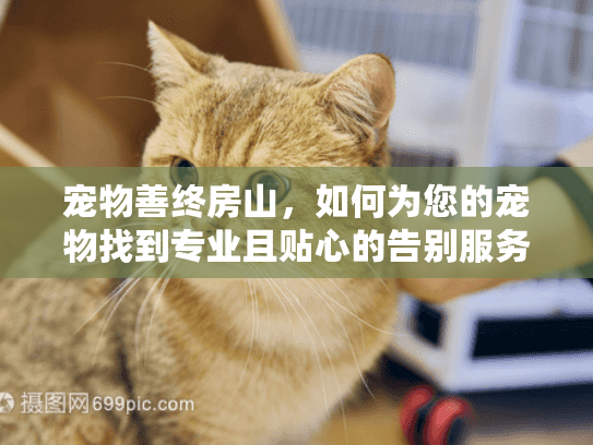 宠物善终房山,如何为您的宠物找到专业且贴心的告别服务? 宠物善终房山,如何为您的宠物找到专业且贴心的告别服务?