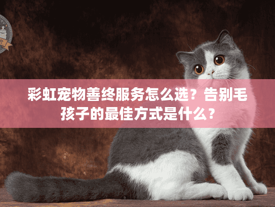 彩虹宠物善终服务怎么选？告别毛孩子的最佳方式是什么？