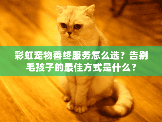 彩虹宠物善终服务怎么选？告别毛孩子的最佳方式是什么？