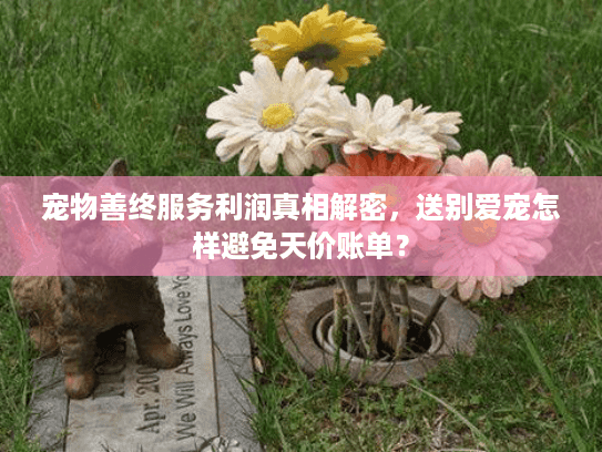宠物善终服务利润真相解密，送别爱宠怎样避免天价账单？