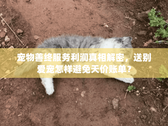 宠物善终服务利润真相解密，送别爱宠怎样避免天价账单？