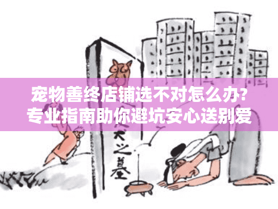 宠物善终店铺选不对怎么办?专业指南助你避坑安心送别爱宠