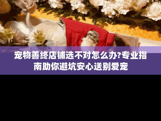 宠物善终店铺选不对怎么办?专业指南助你避坑安心送别爱宠