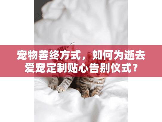 宠物善终方式，如何为逝去爱宠定制贴心告别仪式？
