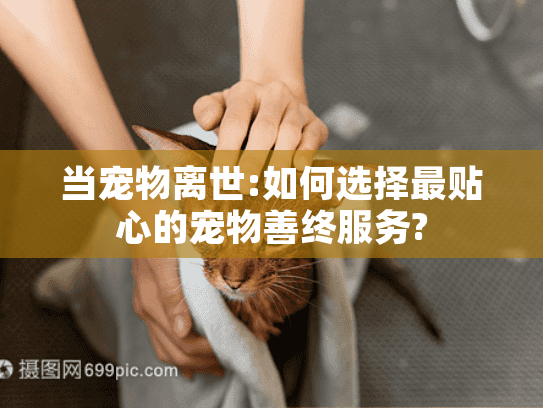 当宠物离世:如何选择最贴心的宠物善终服务?