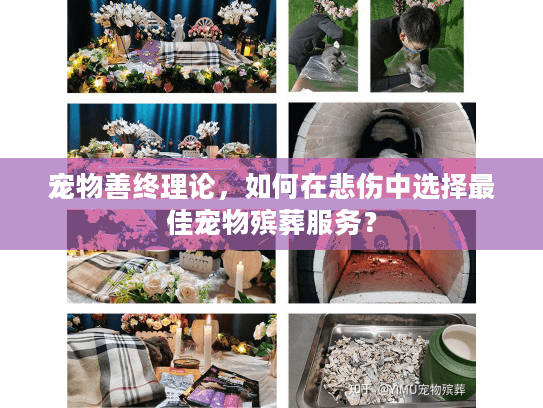 宠物善终理论，如何在悲伤中选择最佳宠物殡葬服务？