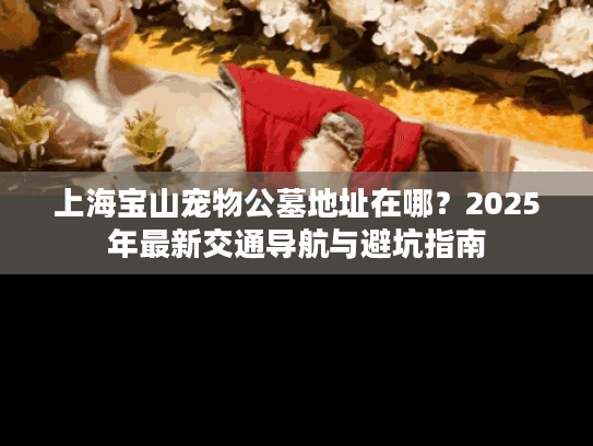 上海宝山宠物公墓地址在哪？2025年最新交通导航与避坑指南