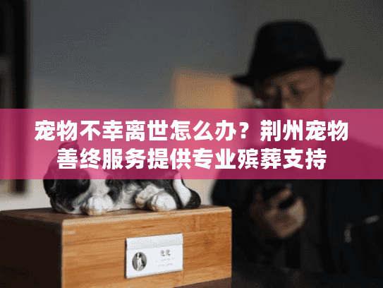 宠物不幸离世怎么办？荆州宠物善终服务提供专业殡葬支持