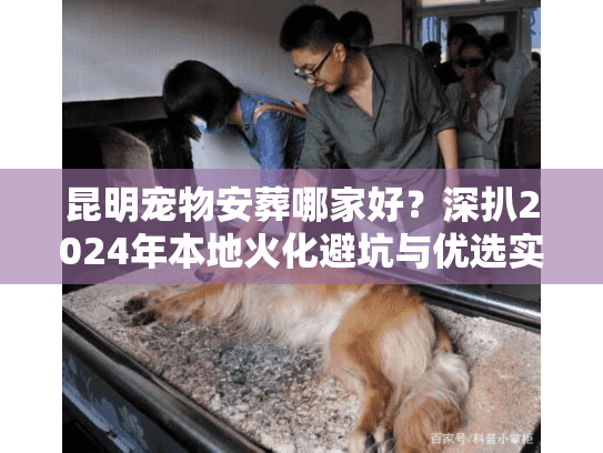 昆明宠物安葬哪家好？深扒2024年本地火化避坑与优选实录