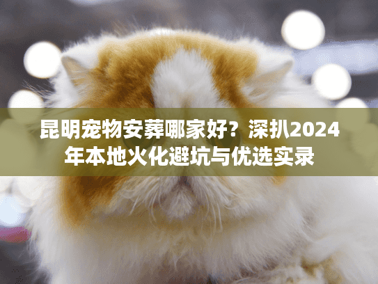 昆明宠物安葬哪家好？深扒2024年本地火化避坑与优选实录