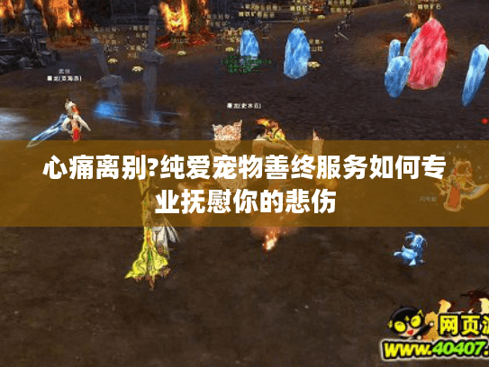 心痛离别?纯爱宠物善终服务如何专业抚慰你的悲伤