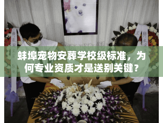 蚌埠宠物安葬学校级标准，为何专业资质才是送别关键？