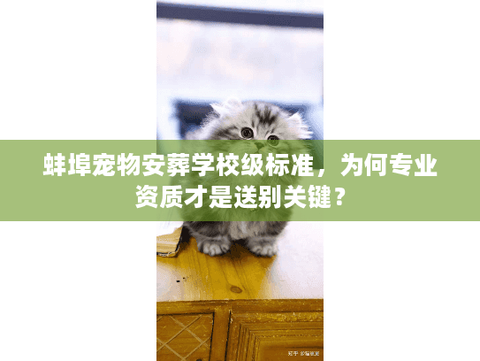 蚌埠宠物安葬学校级标准，为何专业资质才是送别关键？
