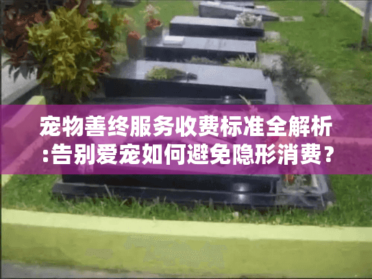宠物善终服务收费标准全解析:告别爱宠如何避免隐形消费？