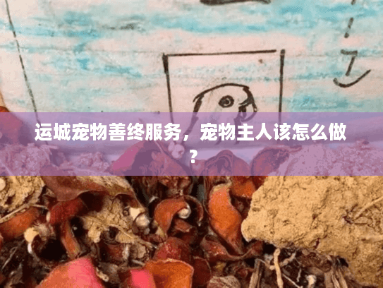 运城宠物善终服务，宠物主人该怎么做？