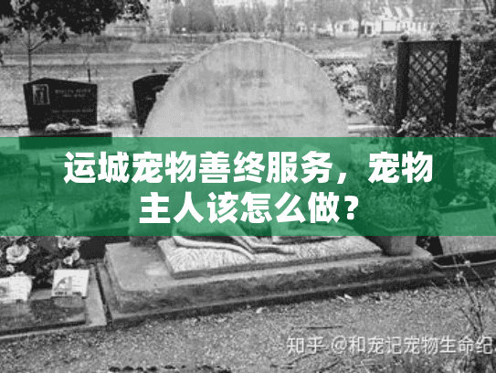 运城宠物善终服务，宠物主人该怎么做？