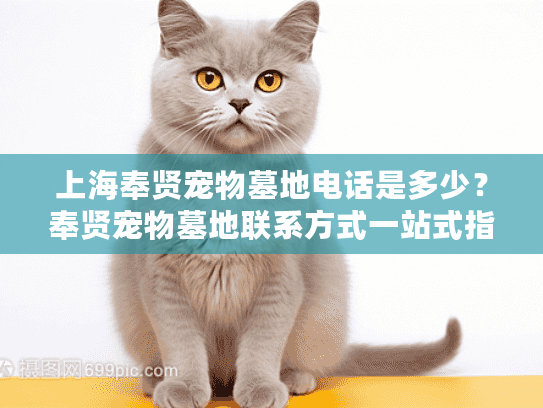 上海奉贤宠物墓地电话是多少？奉贤宠物墓地联系方式一站式指南！