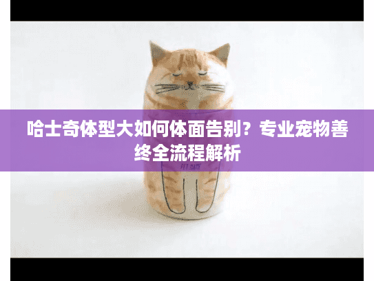 哈士奇体型大如何体面告别？专业宠物善终全流程解析