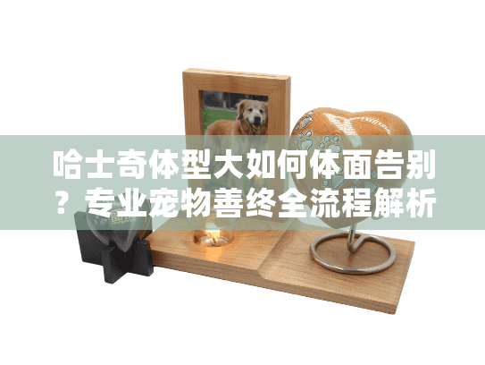 哈士奇体型大如何体面告别？专业宠物善终全流程解析