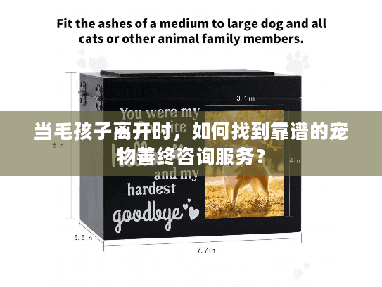 当毛孩子离开时，如何找到靠谱的宠物善终咨询服务？