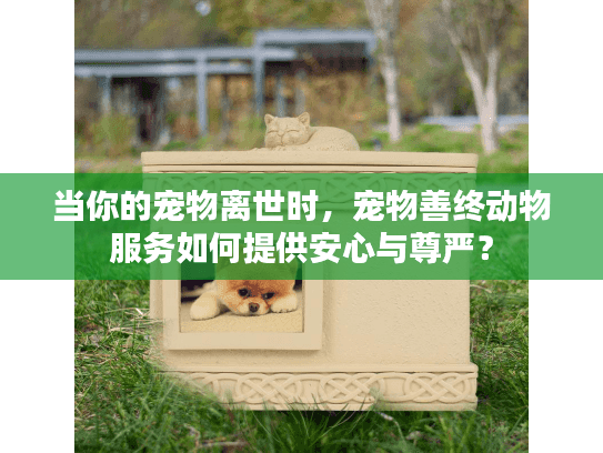 当你的宠物离世时，宠物善终动物服务如何提供安心与尊严？
