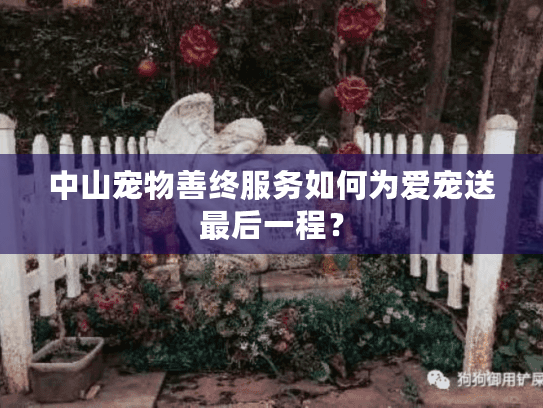 中山宠物善终服务如何为爱宠送最后一程? 中山宠物善终服务如何为爱宠送最后一程?