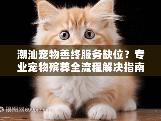 潮汕宠物善终服务缺位？专业宠物殡葬全流程解决指南