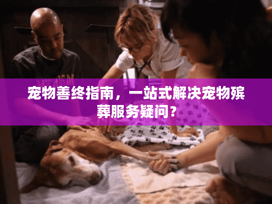 宠物善终指南，一站式解决宠物殡葬服务疑问？