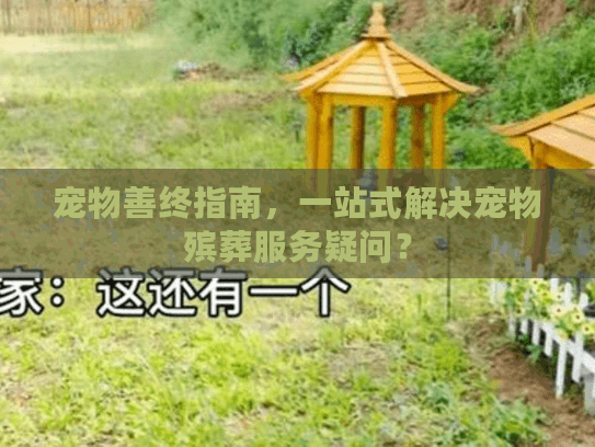 宠物善终指南，一站式解决宠物殡葬服务疑问？