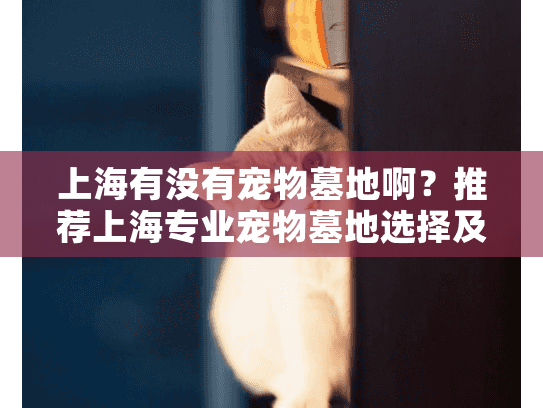 上海有没有宠物墓地啊？推荐上海专业宠物墓地选择及殡葬服务