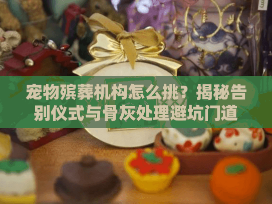 宠物殡葬机构怎么挑？揭秘告别仪式与骨灰处理避坑门道