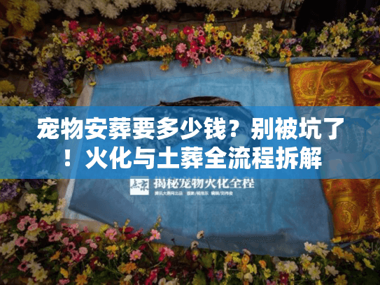 宠物安葬要多少钱？别被坑了！火化与土葬全流程拆解