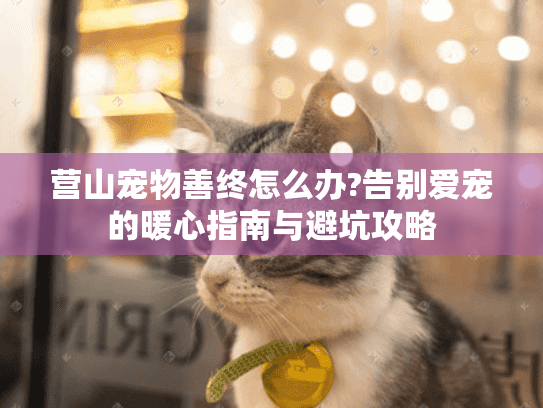 营山宠物善终怎么办?告别爱宠的暖心指南与避坑攻略