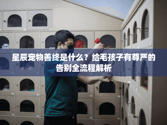 星辰宠物善终是什么？给毛孩子有尊严的告别全流程解析