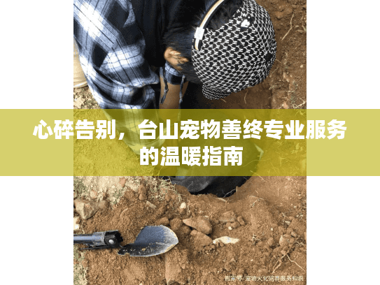 心碎告别，台山宠物善终专业服务的温暖指南