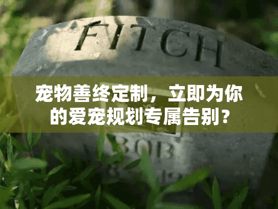 宠物善终定制，立即为你的爱宠规划专属告别？