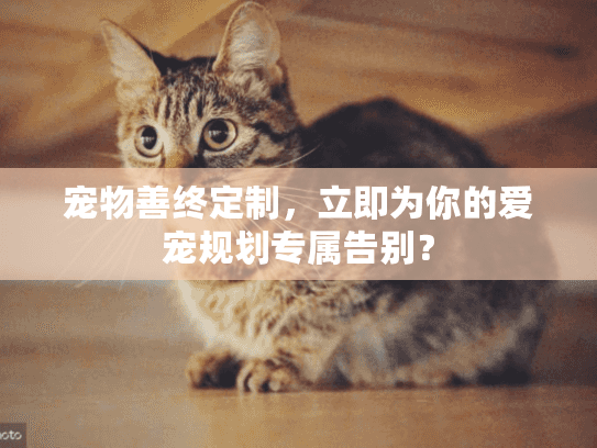 宠物善终定制，立即为你的爱宠规划专属告别？