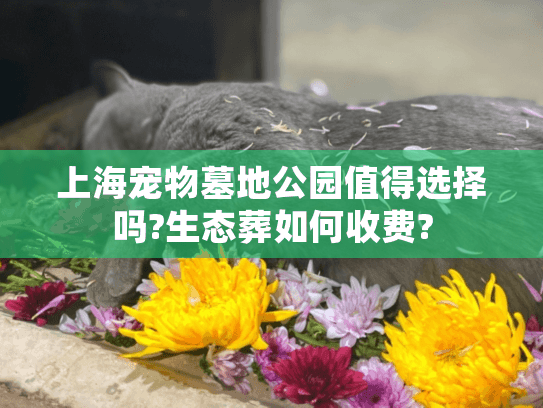 上海宠物墓地公园值得选择吗?生态葬如何收费?