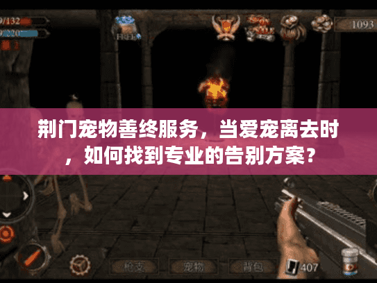 荆门宠物善终服务，当爱宠离去时，如何找到专业的告别方案？